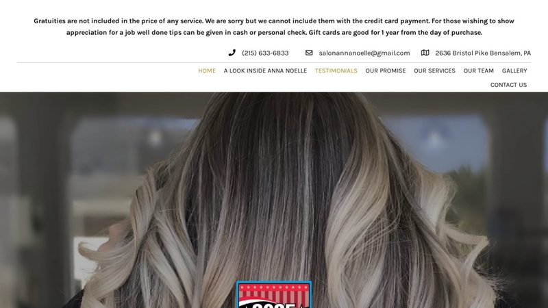 Salon Anna Noelle website preview